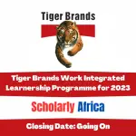 Tiger Brands: Learnerships 2024